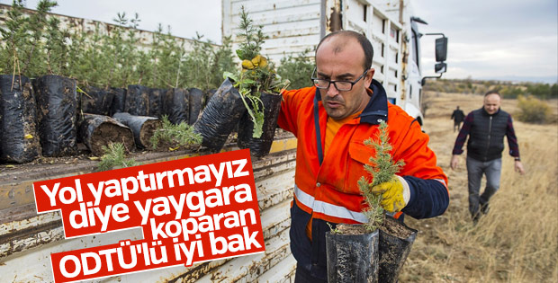 ODTÜ'den geçecek yol ağaçlandırılıyor
