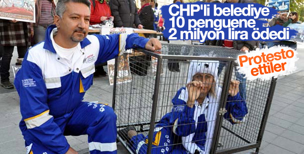 CHP'li belediyeden 2 milyon liralık penguen yatırımı