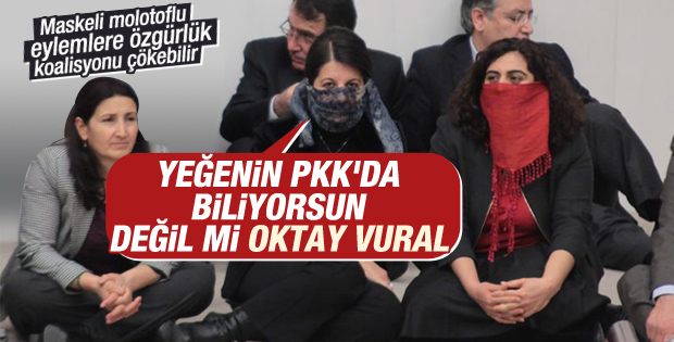 HDP'li vekilden Oktay Vural'ı kızdıracak PKK çıkışı