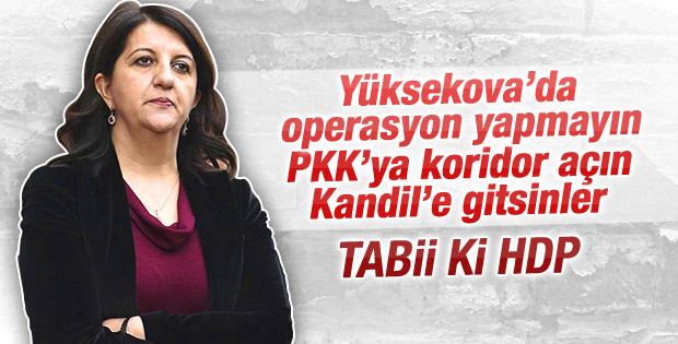 HDP'li vekillerin Yüksekova planı ortaya çıktı