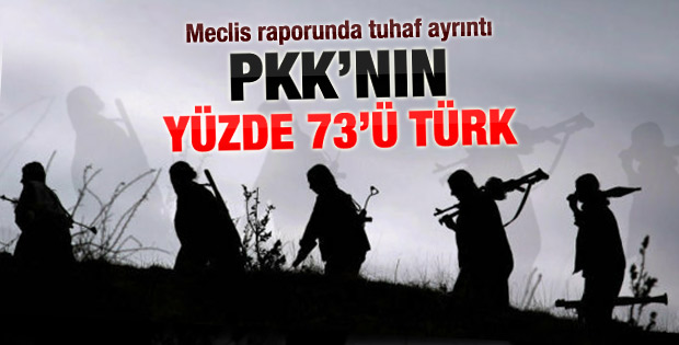 PKK ile ilgili kapsamlı rapor