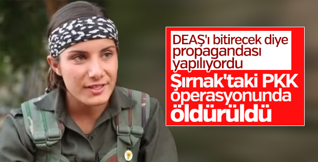 Terör örgütü PKK'nın ekran yüzü Şırnak'ta öldürüldü