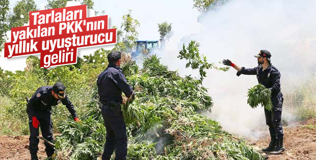 PKK’nın yıllık uyuşturucu geliri 1.5 milyar dolar