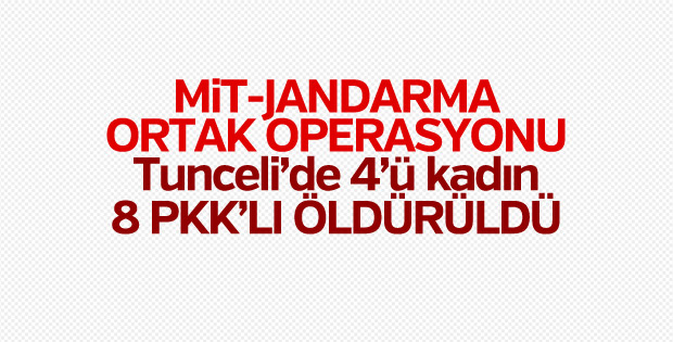 Tunceli’de 8 terörist öldürüldü