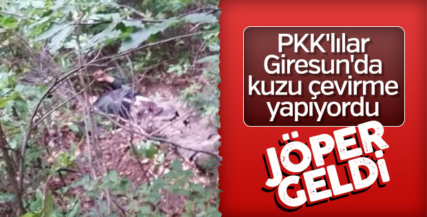 Giresun'daki PKK operasyonunun ayrıntıları