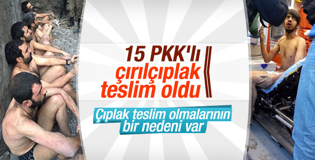 Sur'da çok sayıda terörist çıplak teslim oldu
