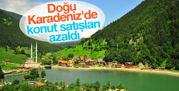 Doğu Karadeniz'de konut satışları azaldı