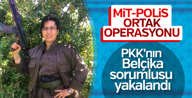 PKK'nın sözde Belçika sorumlusu Batman'da yakalandı