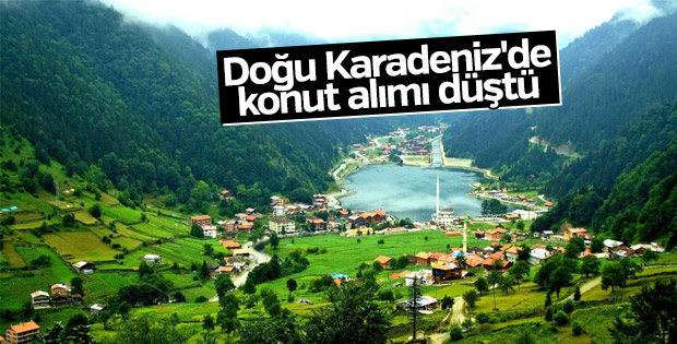 Doğu Karadeniz'de konut alımı düştü
