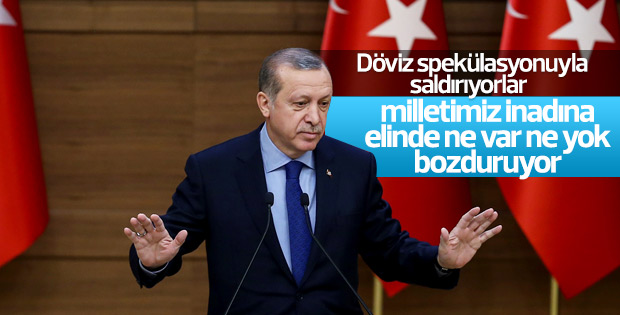 Cumhurbaşkanı Erdoğan'ın döviz çağrısı karşılık buldu
