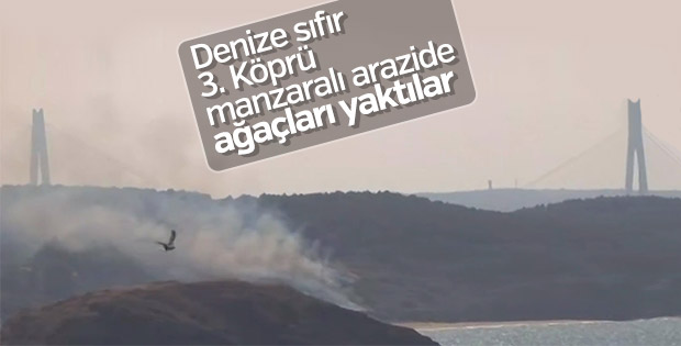 Beykoz Riva'da deniz kenarında orman yangını