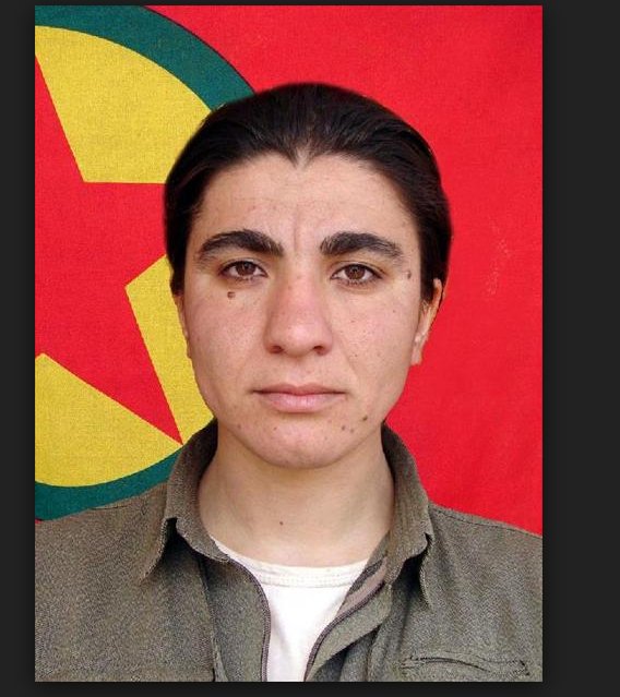 Cizre�deki bodrum katın sırrı