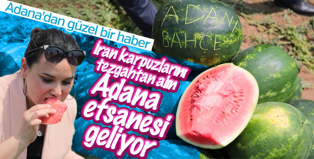 Adana’da turfanda karpuz hasadı başladı