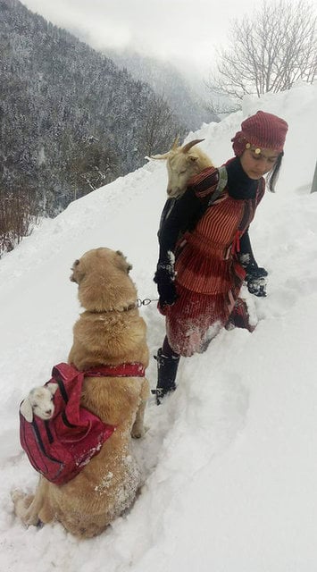 Rahatsızlanan köpeğini karda 7 kilometre sırtında taşıdı