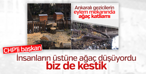 CHP'li Çankaya Belediyesi'nin ağaç katliamına açıklaması