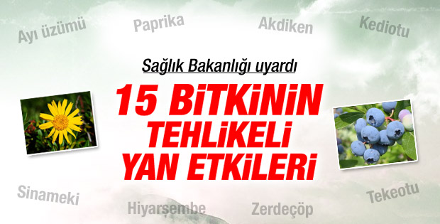 Sağlık Bakanlığı'ndan zararlı tıbbi bitkiler uyarısı