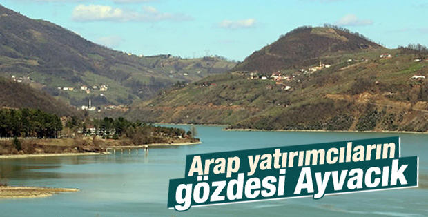 Araplar Samsun'da arsa arayışına girdi