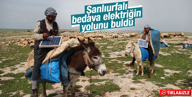 Şanlıurfa'da eşek sırtında elektrik üretimi