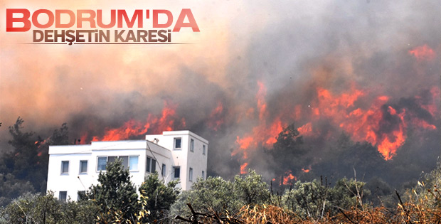 Bodrum'da yangın vatandaşları korkuttu