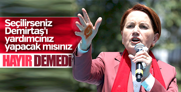 Meral Akşener'e Demirtaş soruldu
