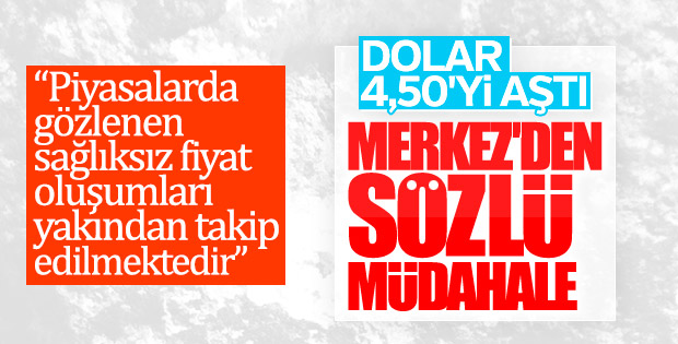 Dolar 4.50 lirayı gördü