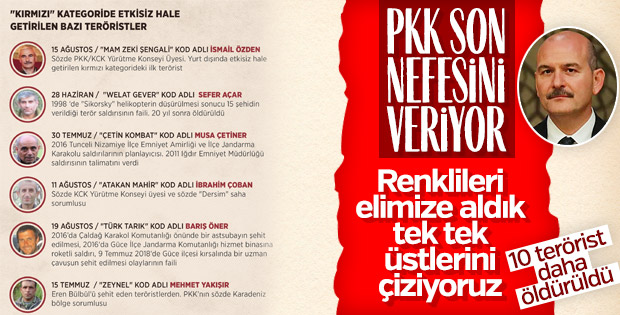 Bakan Soylu: Renkli listedekilerin üstünü çiziyoruz