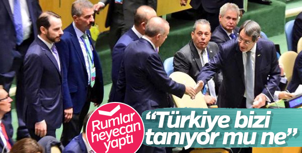 Erdoğan'ın Anastasiadis ile sohbeti Rumlarda gündem oldu
