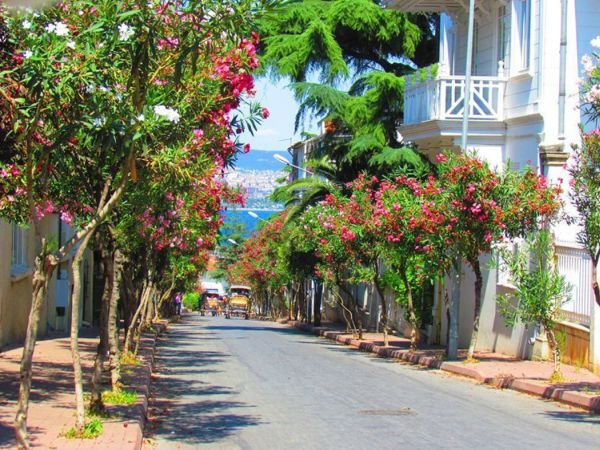 İstanbul'un bilinmeyen adaları