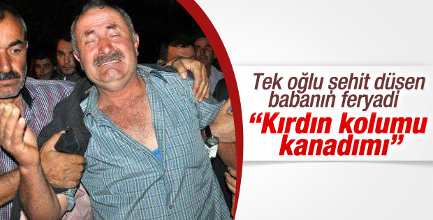 Şehit babası: Oğlum ne yaptın kolumu kanadımı kırdın