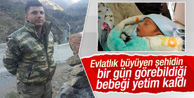 Şehit asker yeni doğan bebeğini bir kez görebildi