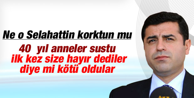BDP'li Demirtaş'a göre dağa kaçırılan bir çocuk yok