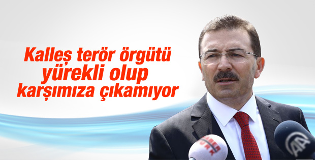 Selami Altınok PKK saldırılarını değerlendirdi