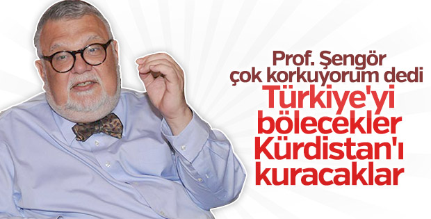 Celal Şengör: Türkiye'nin gidişatı beni korkutuyor