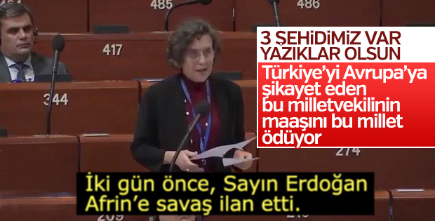 HDP'li Kerestecioğlu, Türkiye'yi Avrupa'ya şikayet etti