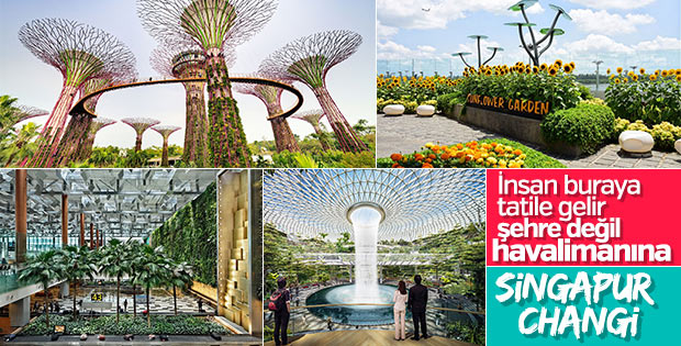 Çıtayı dağlara çıkaran havalimanı: Singapur Changi
