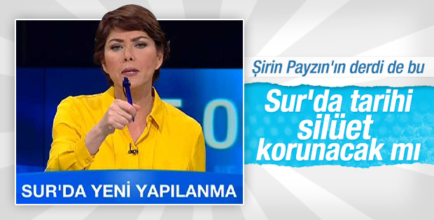Şirin Payzın: HDP'li belediyenin de fikri alınmalı
