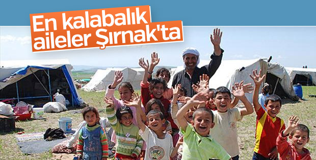 En kalabalık aileler Şırnak'ta