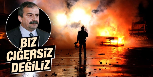 Sırrı Süreyya'dan Kobani süreci değerlendirmesi