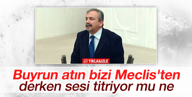 Sırrı Süreyya Önder: Buyrun atın bizi Meclis'ten