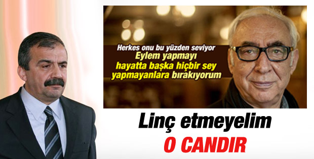 Sırrı Süreyya Önder, Şener Şen'e destek verdi