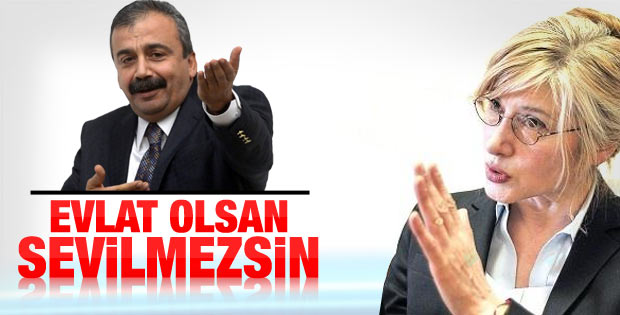 Sırrı Süreyya: Evlat olsalar sevilmezler