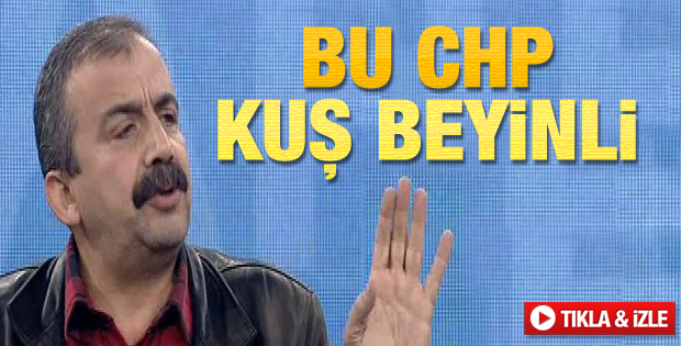 Sırrı Süreyya Önder: Bu CHP kuş beyinli