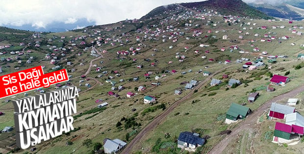 Sis Dağı Yaylası'nda kaçak yapılar yıkılıyor 