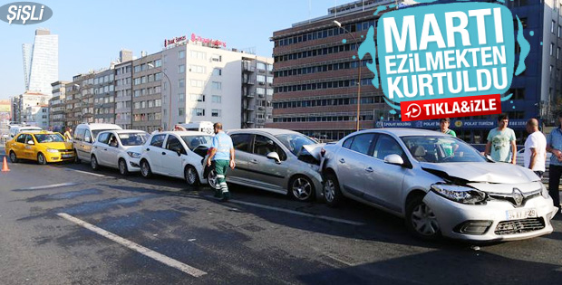 Şişli'de martıya çarpmamak için 9 araç birbirine girdi