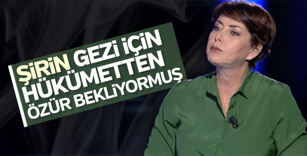 Şirin Payzın hükümetten Gezi için özür bekliyor