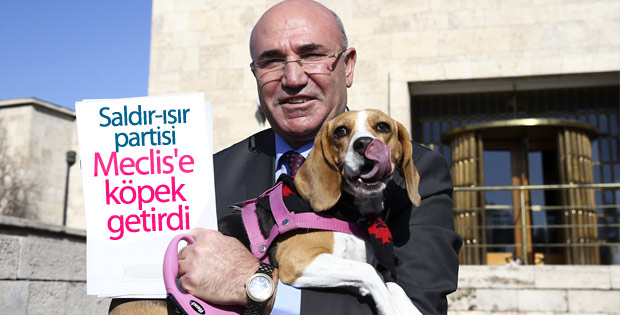 CHP'li Mahmut Tanal köpeğiyle basın toplantısı yaptı