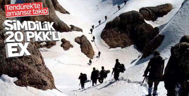 Tendürek Dağı'nda 20 terörist öldürüldü