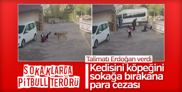 Hayvan haklarıyla ilgili yasada sona gelindi