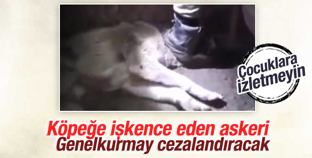 Genelkurmay'dan köpeğe işkence eden asker açıklaması