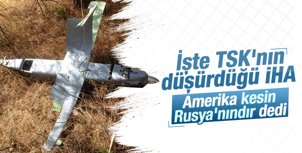 Reuters: Amerika'ya göre düşürülen İHA Rusya'nın